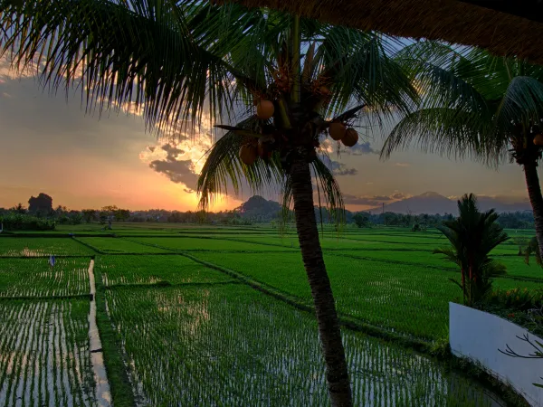 Golden Hour — Crescent Moon Villa, Ubud