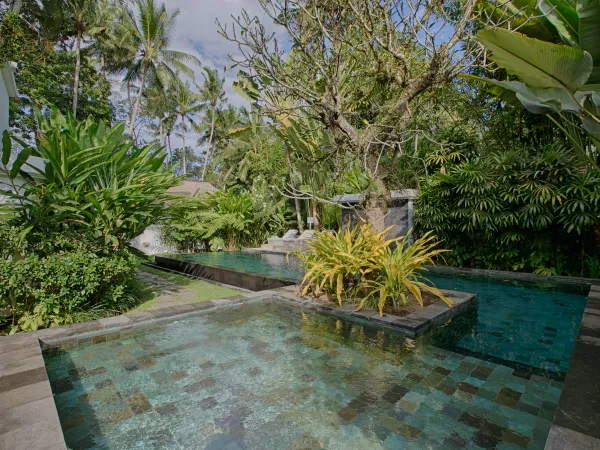 Kolam Renang — Crescent Moon Villa, Ubud