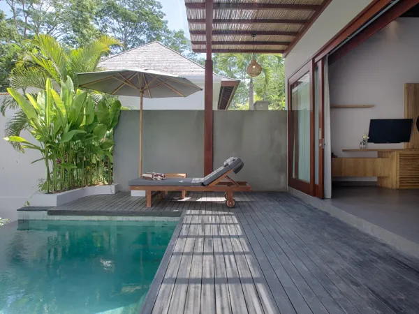 Pool at Villa Elitya, Ubud, Bali — villa pool photography